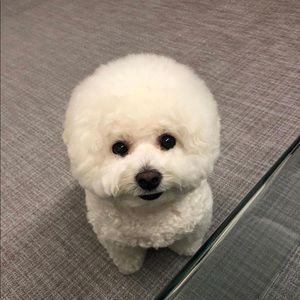 Meet your Posher, Chloe